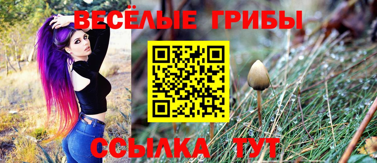 Галлюциногенные грибы Psilocybe  Псилоцибиновые грибы Magic Shrooms  наркотики  Вход с VPN  Новоалександровск 