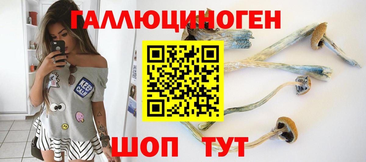 Галлюциногенные грибы Cubensis Новоалександровск